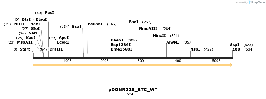 155223_map