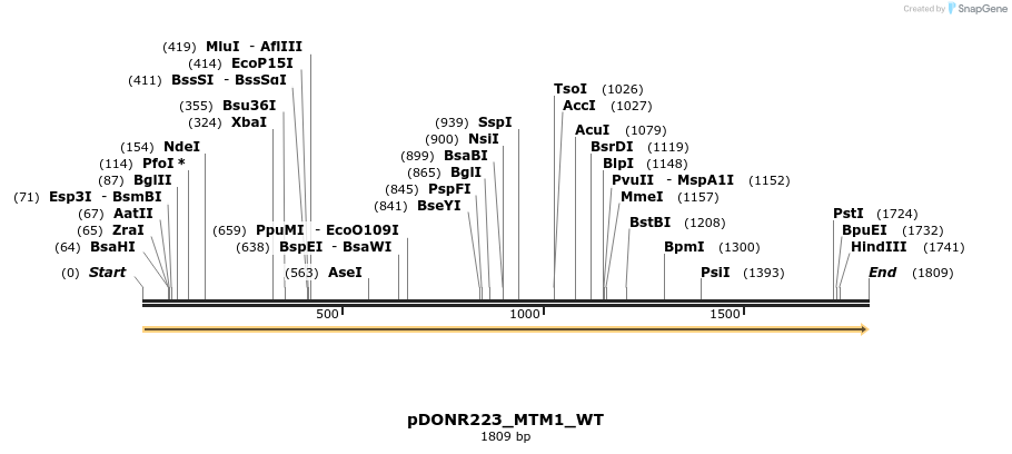 155227_map