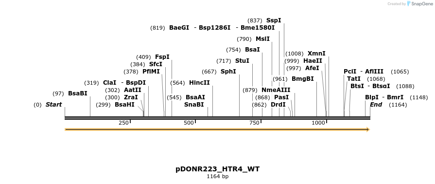 155234_map