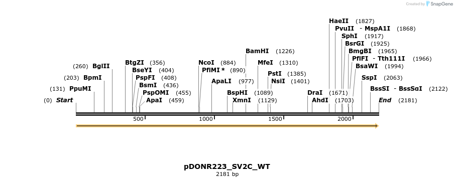 155243_map