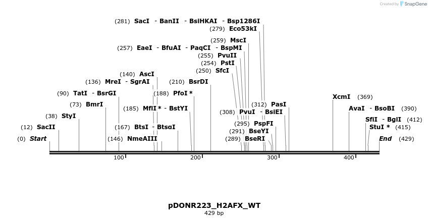 155256_map