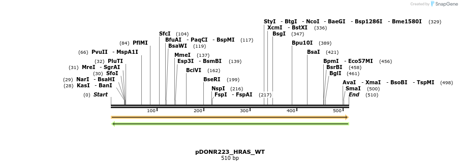 155257_map