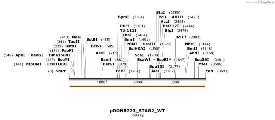 155283_map