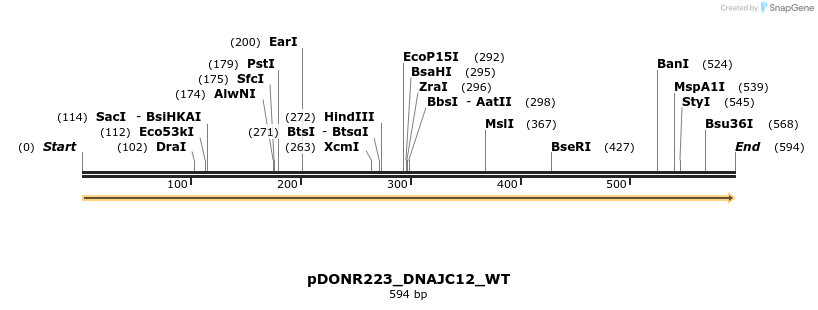155293_map