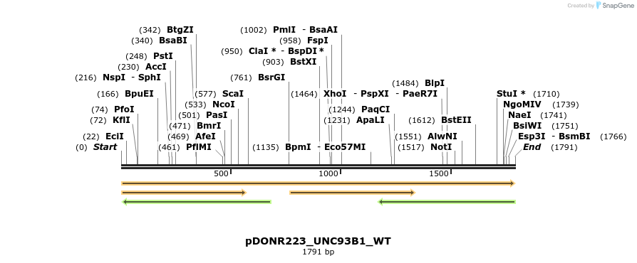 155296_map