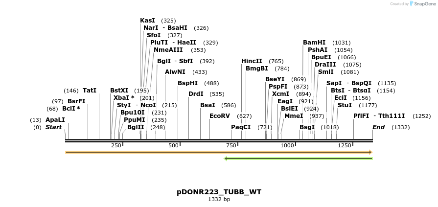 155309_map