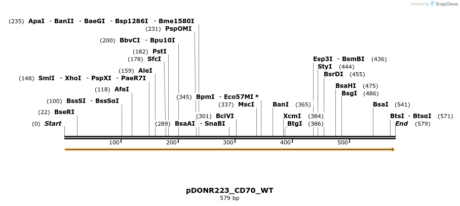 155322_map
