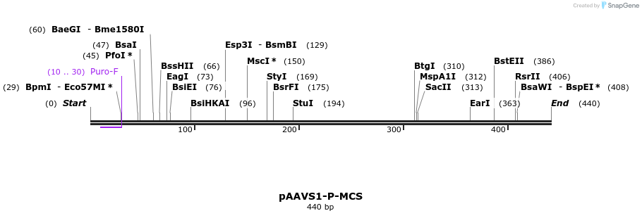 155338_map