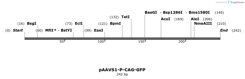 155345_map