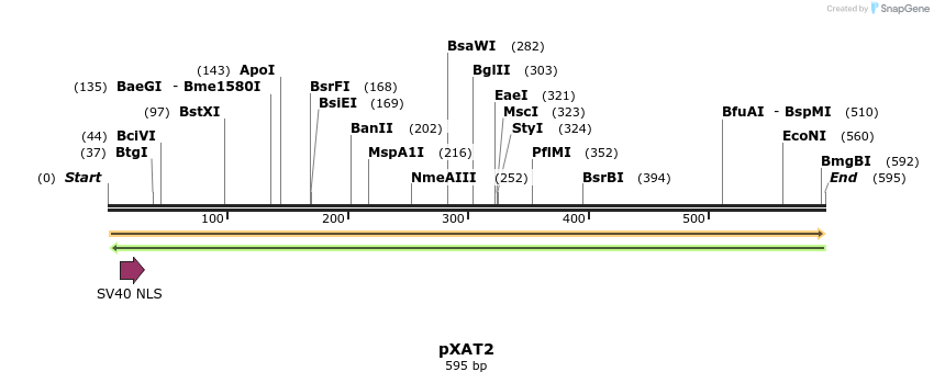 155351_map
