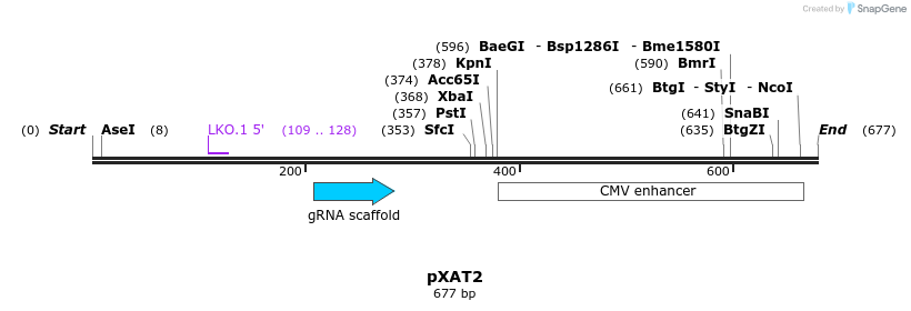 155354_map