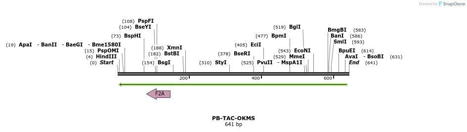 155370_map