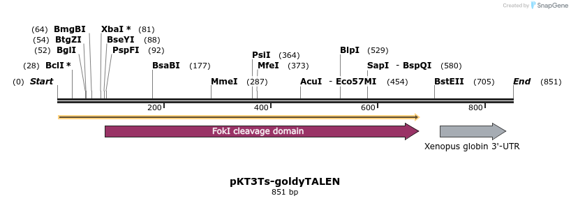 155384_map