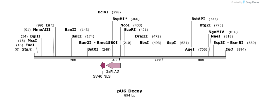 155395_map