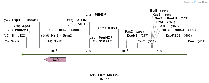 155399_map