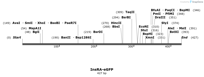 155411_map
