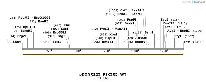 155415_map