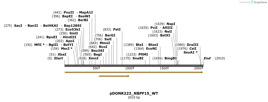 155439_map