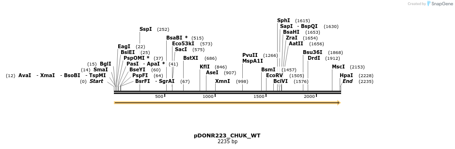 155454_map