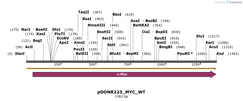 155455_map