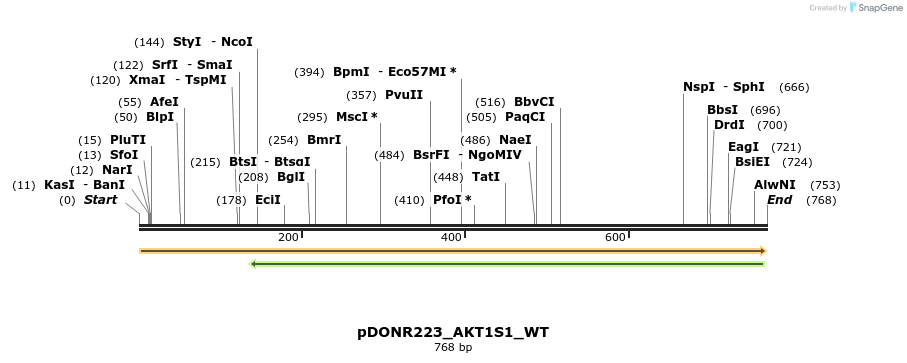 155462_map