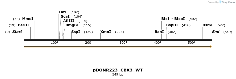 155474_map