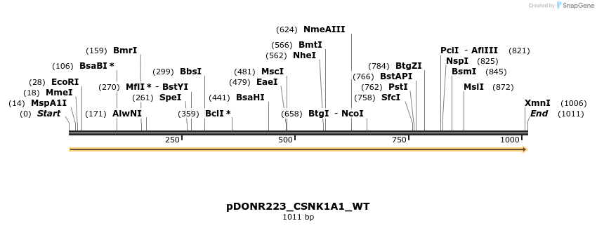 155477_map