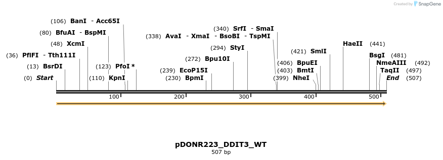 155478_map