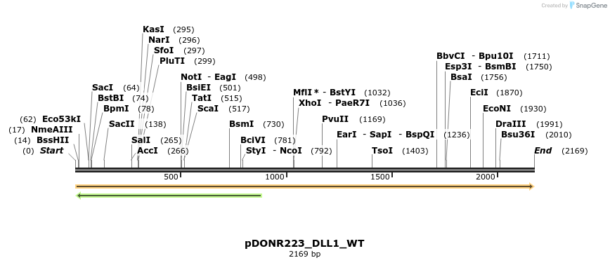 155479_map