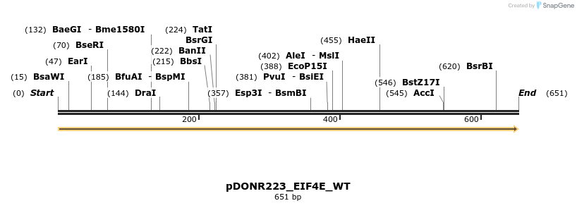 155483_map
