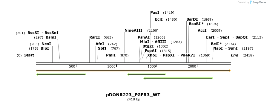 155492_map