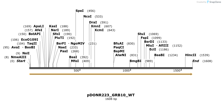 155495_map