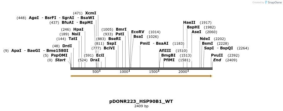 155501_map