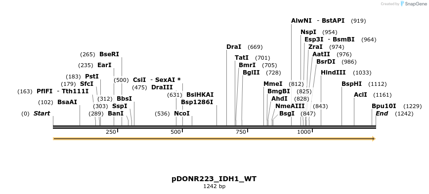 155504_map