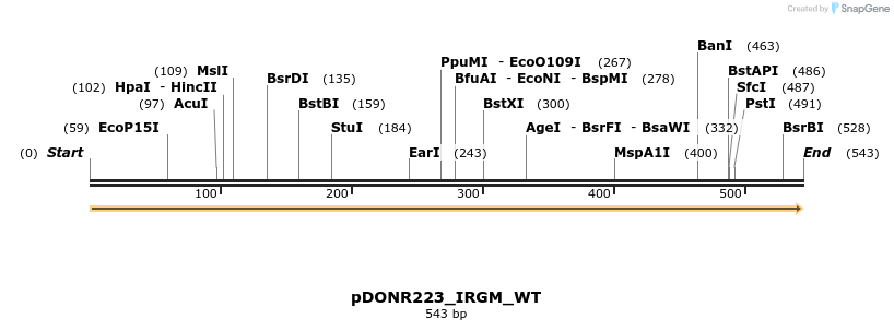 155505_map