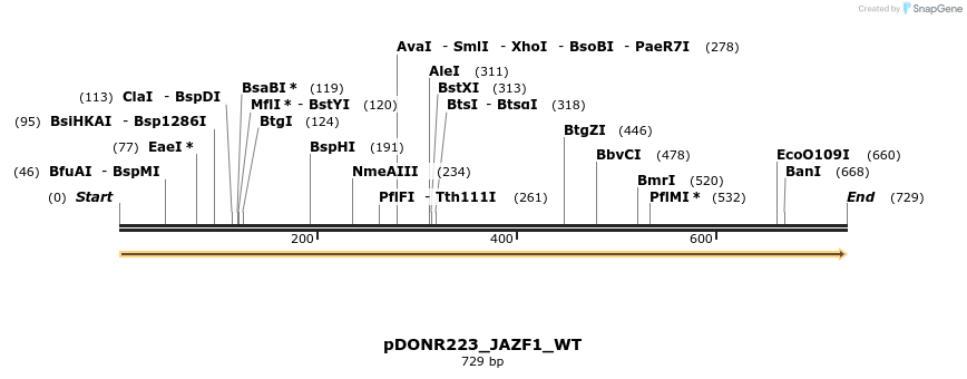 155507_map