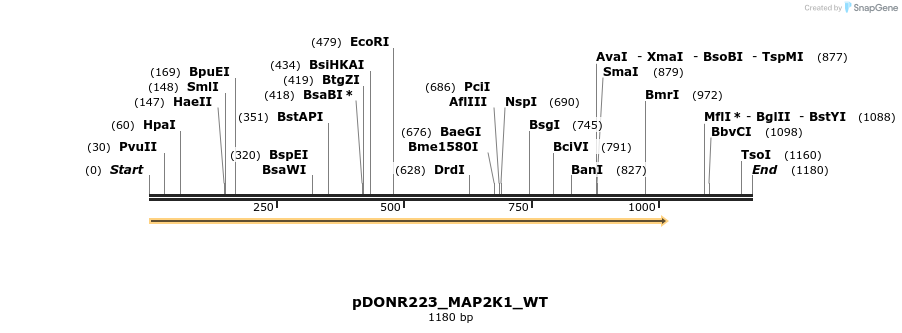 155510_map