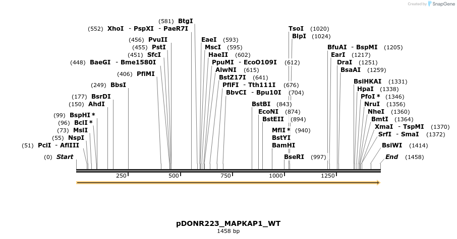 155517_map