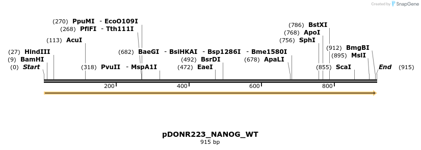 155519_map