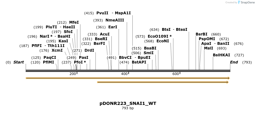 155535_map