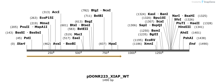 155541_map