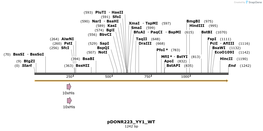 155542_map