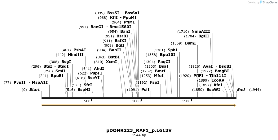 155551_map