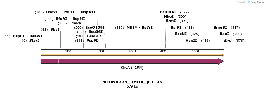 155553_map