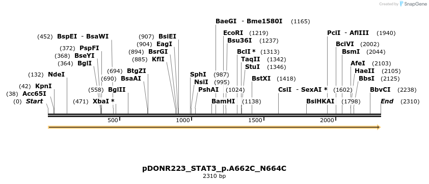 155555_map