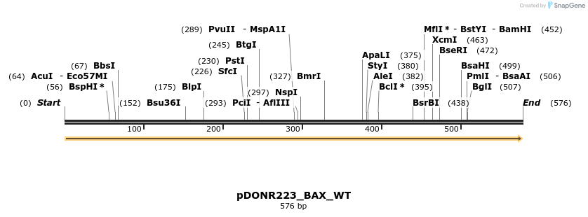 155562_map