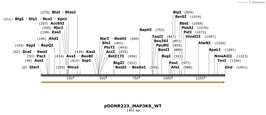 155573_map