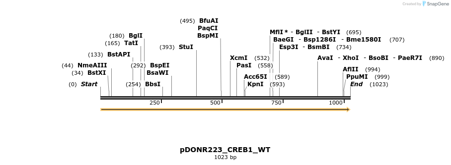 155574_map
