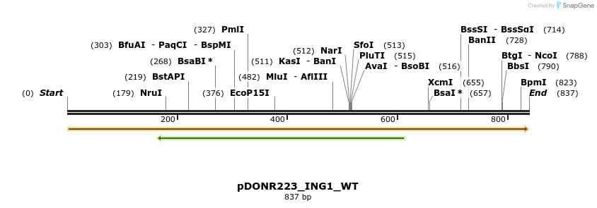 155584_map