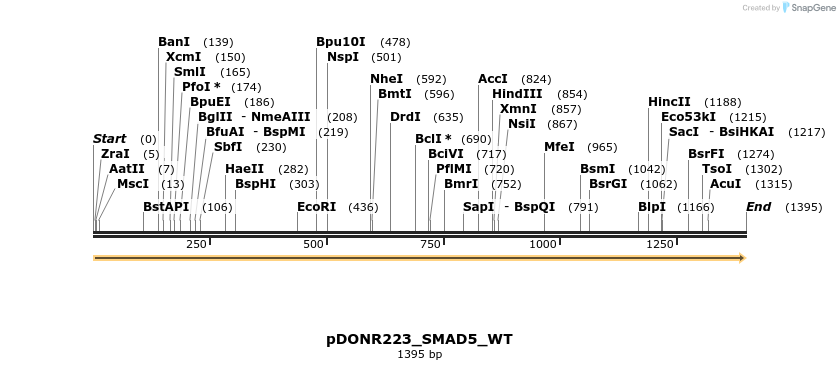155588_map
